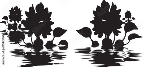 Black Silhouette of Flowers and Leaves on Water Surface