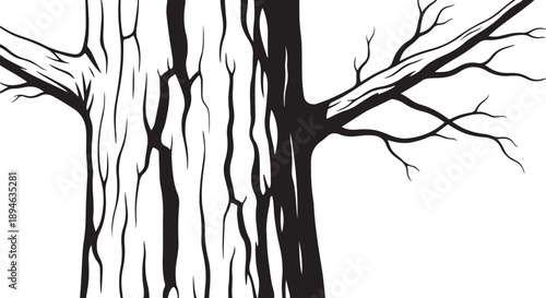 Black and white illustration of a bare tree trunk