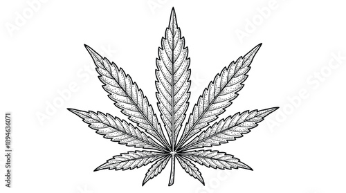 Detailed Black and White Drawing of a Cannabis Leaf.