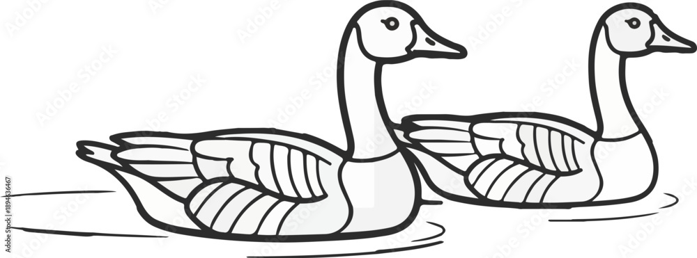 Fototapeta premium Swimming Geese Line Art