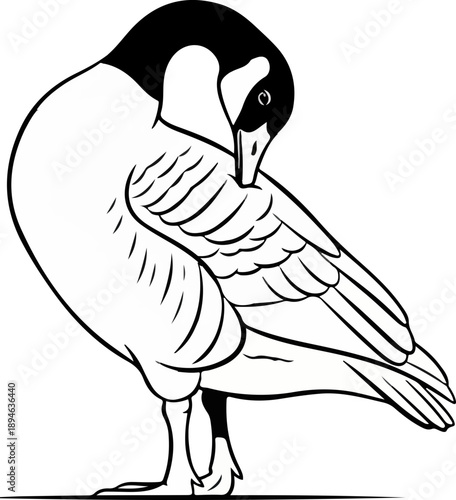 Canada Goose Line Art