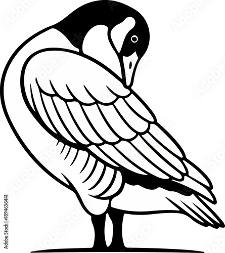 Canada Goose Preening Illustration