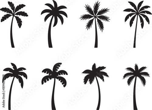 Black palm tree silhouettes set.