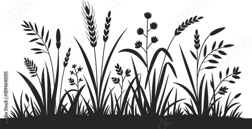 Black grass and wild plants silhouette border, nature meadow illustration, botanical floral design, minimal vector background isolated white