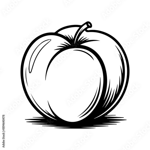 Peach Sketch Vector Illustration of Fresh Organic Fruit in Minimalist Line Art