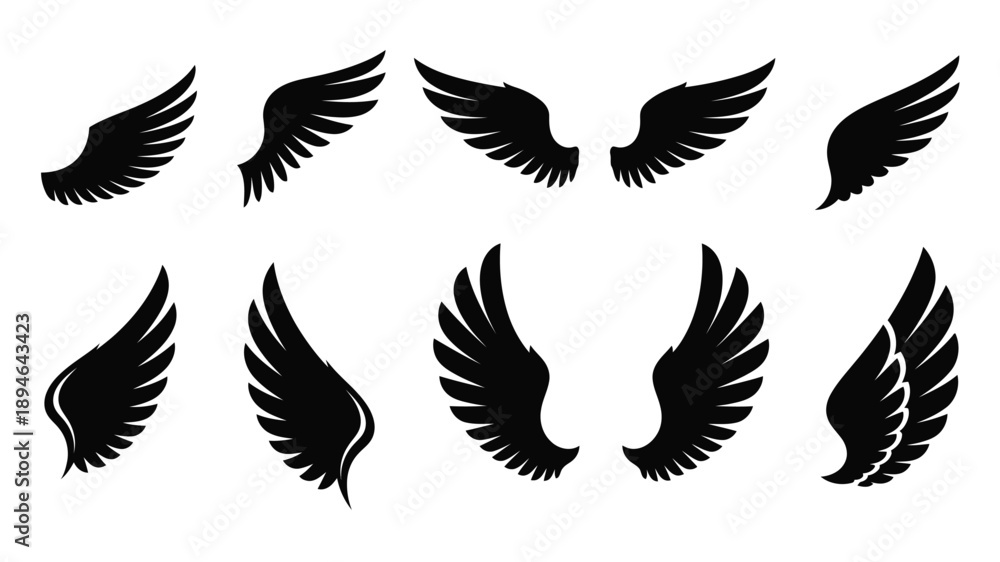 Obraz premium Collection of black wings in various styles and positions