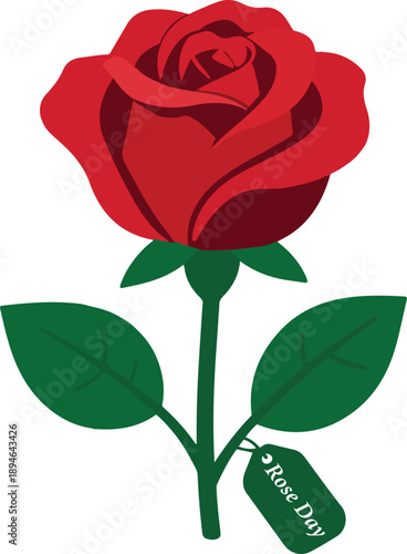 red rose isolated on white background