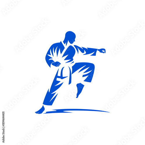 Dynamic karate fighter training stance