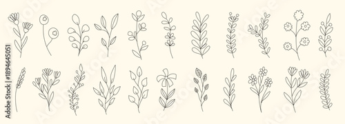 delicate floral doodles featuring various plants