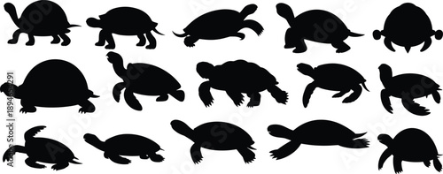 Turtle and tortoise silhouette illustration set, aquatic and land reptiles black vector collection wildlife design