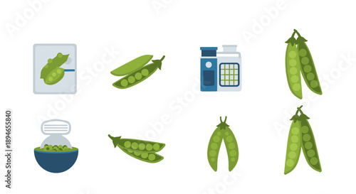 A collection of vibrant green pea illustrations, showcasing fresh pods, shelled peas, and canned varieties, perfect for healthy food concepts.