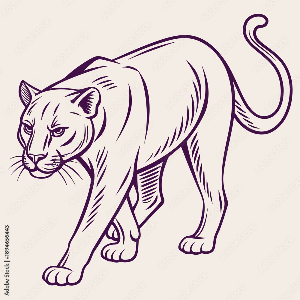 Obraz premium Stalking mountain lion