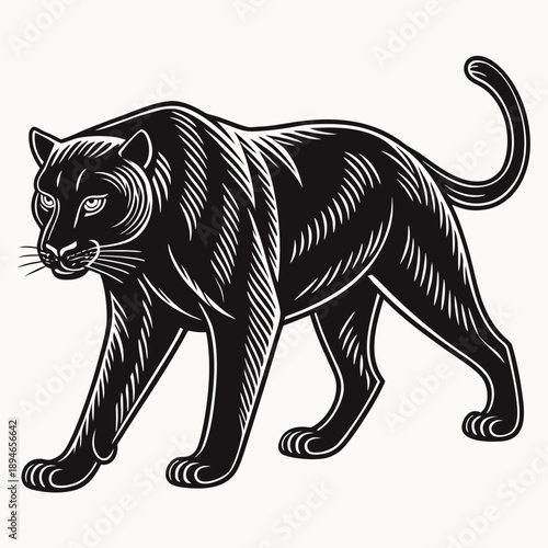 Stalking black panther