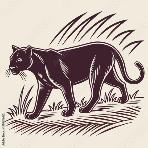 Black panther in grassland