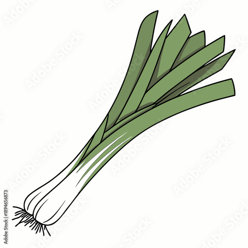 Fresh bunch of green onions