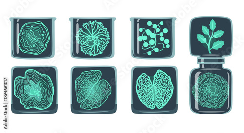 A captivating collection of microscopic organisms and cellular structures, meticulously rendered in a vibrant teal hue against a dark background, perfect for scientific and educational visuals.
