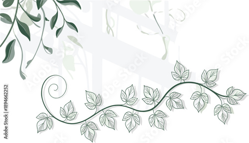 Vine with leaves and swirling tendrils in shades of green and grey against a soft white background