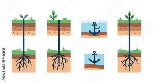 A compelling illustration showcasing the deep root systems of plants and the anchoring concept, symbolizing growth, stability, and foundational strength in nature.