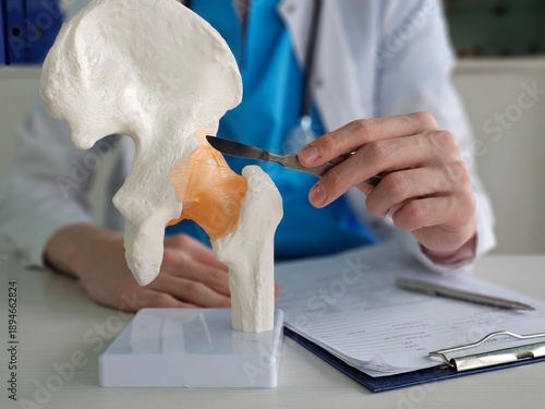 Wallpaper Mural Medical professional examining a hip joint model during a consultation in a clinic Torontodigital.ca