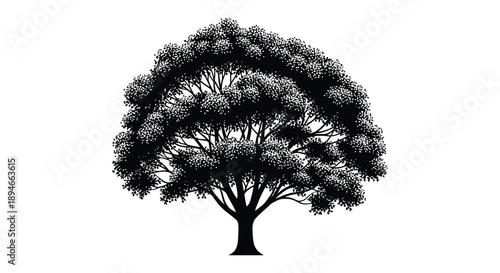 A dense dark tree with sprawling branches and lush foliage is presented as a striking silhouette high quality