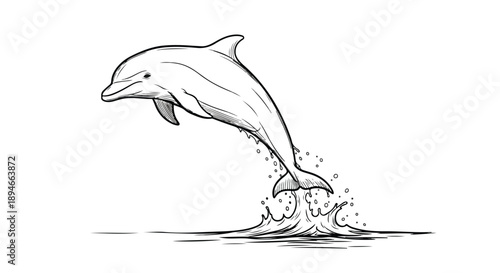Dolphin jumping out of ocean waves sketch