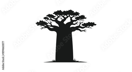 A striking black silhouette of a large mature baobab tree with a full canopy and thick trunk silhouette