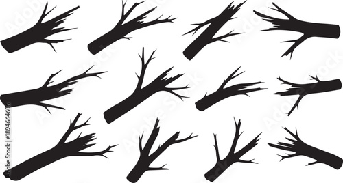 Collection of black tree branch silhouettes on white background