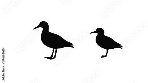 Silhouettes of several ducks and geese in various poses