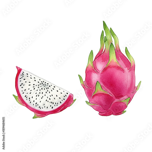Vibrant watercolor illustration of a whole pink dragon fruit and a delicious fresh sliced piece
