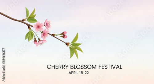 People enjoy cherry blossom festival with vibrant stalls and pink blooms on sunny day outdoors