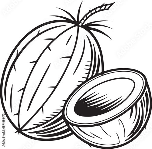 Premium Black Silhouette Vector of Whole Green Coconut Dab Minimalist Tropical Fruit Icon for Branding Packaging Digital Design Use