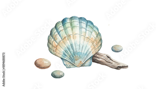 Watercolor Scallop Seashell with Driftwood and Pebbles Marine Theme Illustration with Paint Splatters