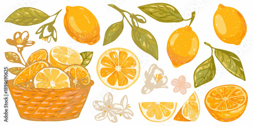 A colorful illustration of lemons lemon slices and a woven basket