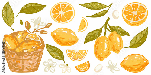 A colorful illustration featuring citrus fruits leaves and a woven basket
