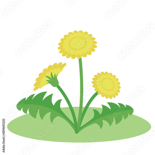 タンポポが咲いている　イラスト