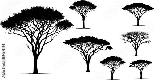 African acacia tree silhouettes collection featuring savanna umbrella shaped trees with detailed branches isolated on white background for nature landscape design projects