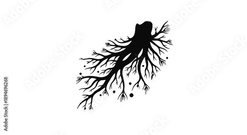 Intricate black tree roots spread outwards from a stump against a white background, symbolizing growth and connection.