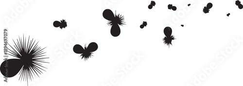 Black dandelion seeds floating in the air freely falling