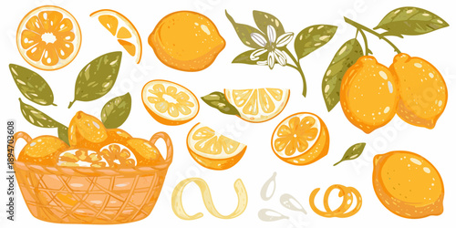A colorful illustration of citrus fruits blossoms and a woven basket