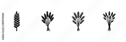 Wheat Ears And Sheaves In Hand Drawn Style Set. Agricultural Harvest, Grain Production, Farming Symbol Doodle Sketch Collection. Rustic Nature Elements. Isolated Vector Illustration