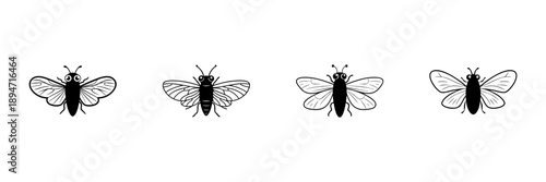 Four Insect Illustrations In Hand Drawn Style Set. Entomology, Nature, Biodiversity Doodle Sketch Collection. Detailed Wing Patterns. Isolated Vector Illustration