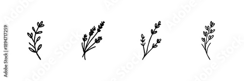 Hand-Drawn Botanical Herb Sprigs Line Icon Set In Doodle Style. Natural Plant Elements For Design And Decoration Outline Sketch. Minimalist Floral Illustrations. Hand Drawn Vector Illustration