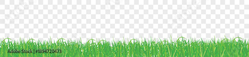 Grass Isolated Transparent background