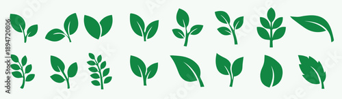 Green Leaf Icons Set Simple Nature Plant Sprout Symbols Collection leaves