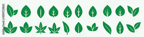 Green Leaf Icons Set Various Shapes and Styles Simple Nature Symbols Collection leaves