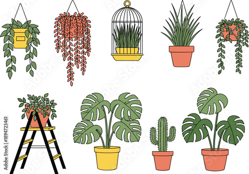 Colorful hand drawn indoor houseplant collection featuring monstera deliciosa cactus hanging vines and potted greenery on white background for home gardening and interior decoration