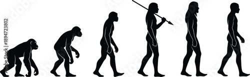 Theory of human evolution. Evolutionary progress from a common ape ancestor to modern humans. Evolution of man, Darwin evolution March of Progress. 