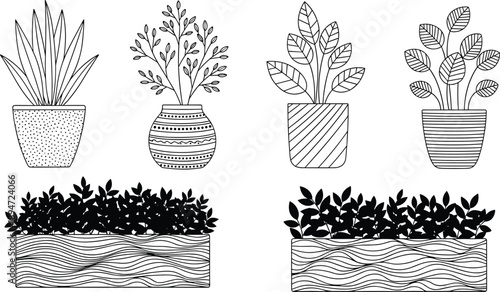 Hand drawn set of minimalist indoor house plants in decorative pots and window box planters with line art aesthetic for modern interior design graphics