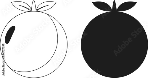 Outline and silhouette of a purple fruit with leaves, like a plum or large berry, vector art