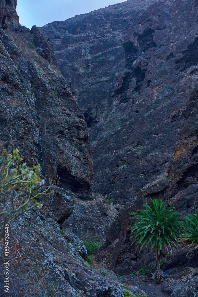 Obraz premium Landscape of Masca canyon